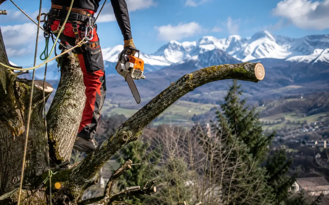 Élagage dans les Hautes-Pyrénées : entretien et taille d&rsquo;arbres